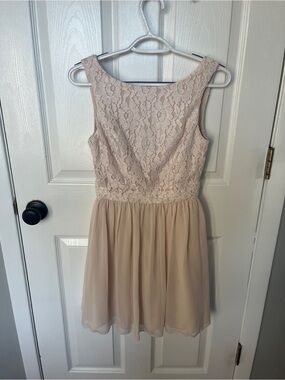 Source Unknown Sleeveless Lace Bodice Chiffon Skater Dress in Blush Nude